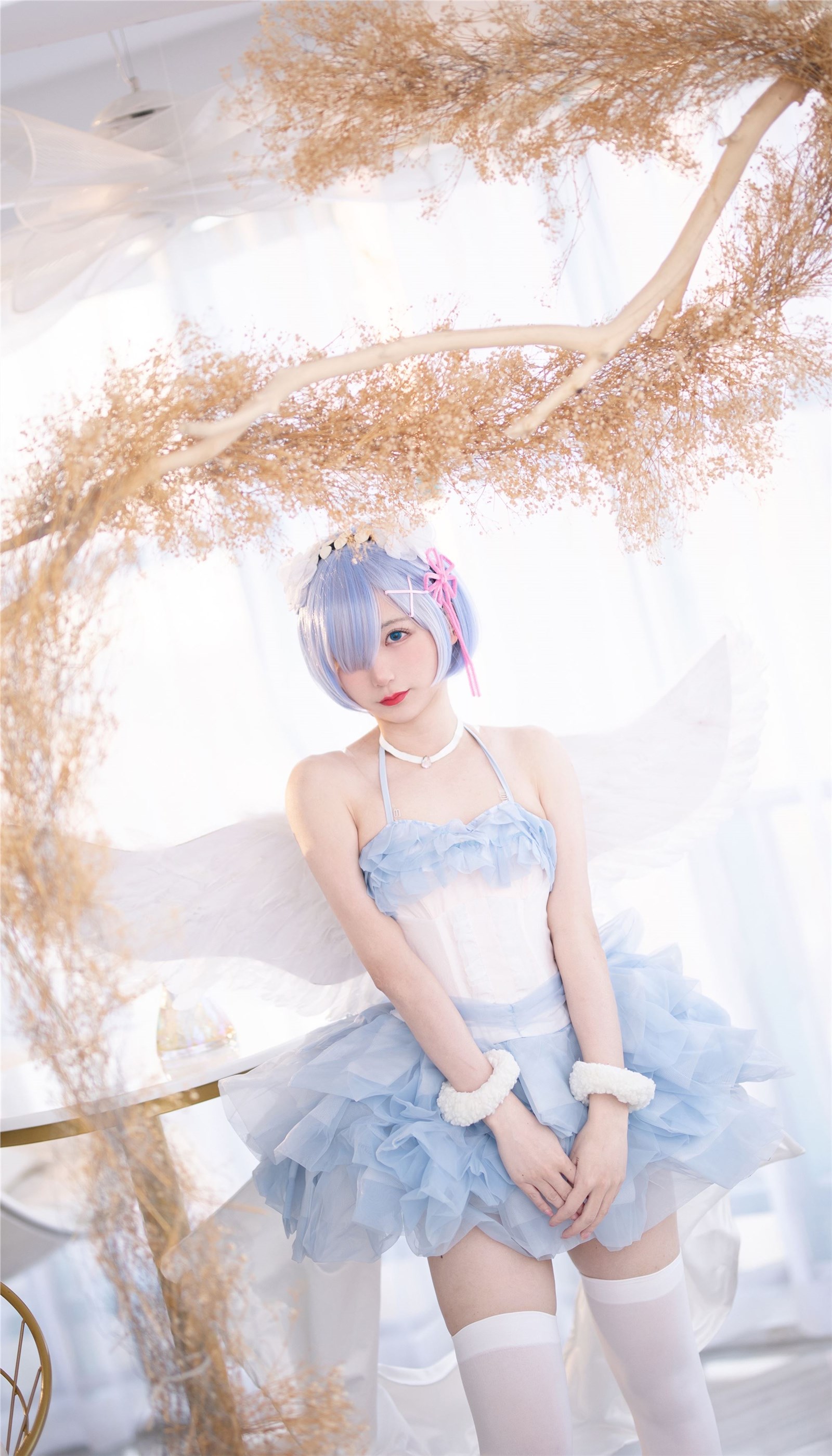 Rem angel(8)